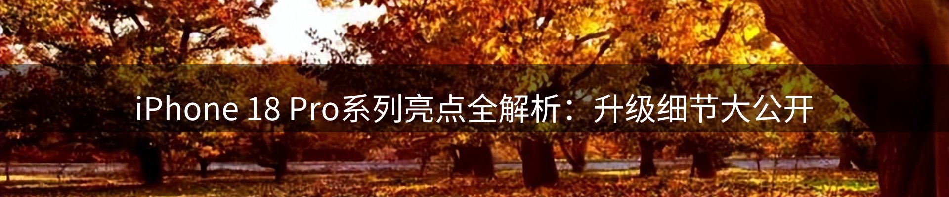内页banner